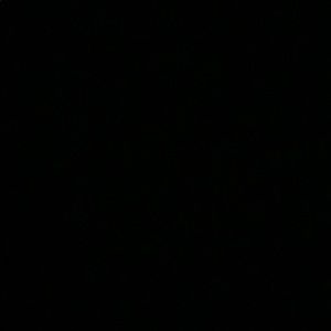 Meet your Posher, Itzel